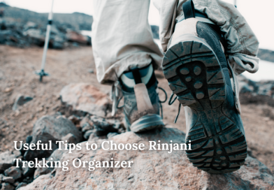 Useful Tips to Choose Rinjani Trekking Organizer
